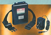 Lister Showman Battery Pack